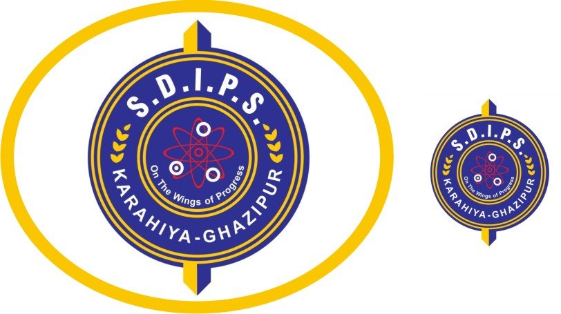 SDIPS BELT BROWN N CREAM